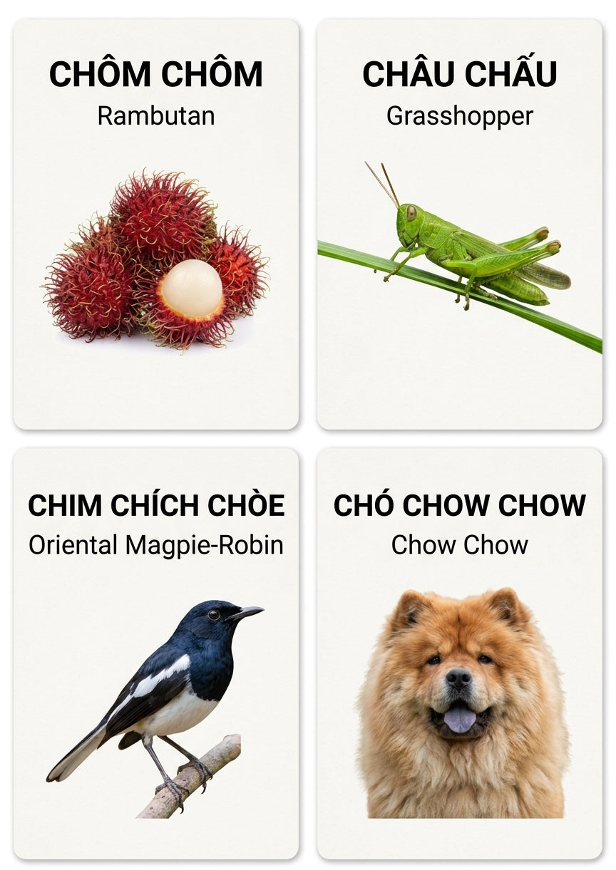 Chi Chi Chành Chành - All "ch" version
