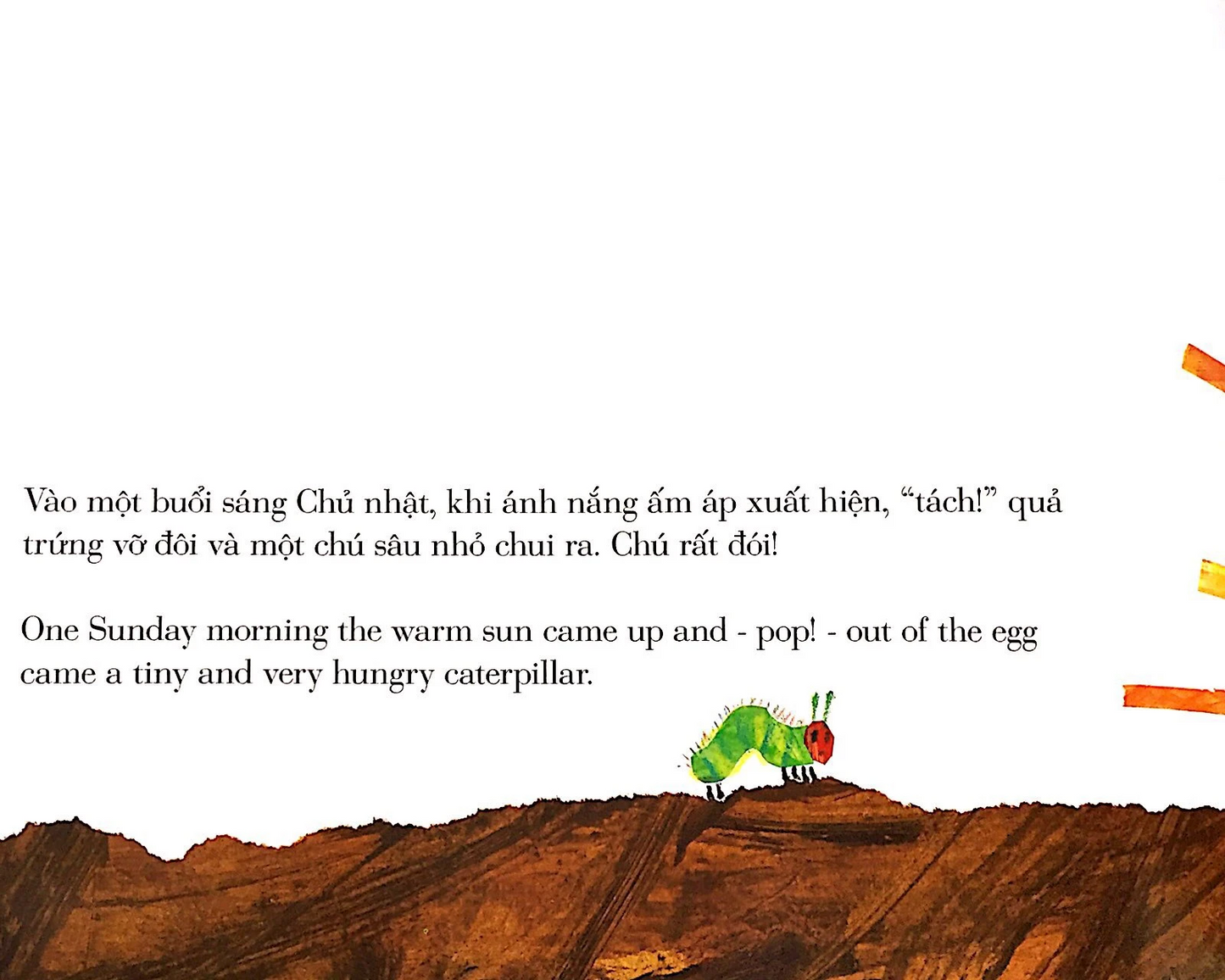 The Very Hungry Caterpillar - Bilingual | Chú Sâu Háu Ăn - song ngữ