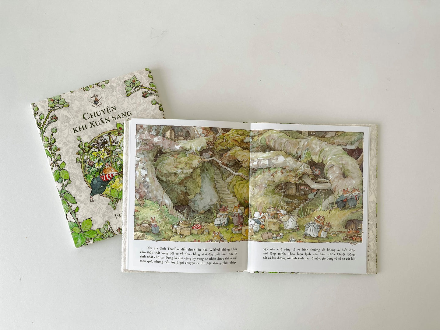 Miền Dâu Dại: Chuyện bốn mùa - translation of Brambly Hedge: the Four Seasons boxset