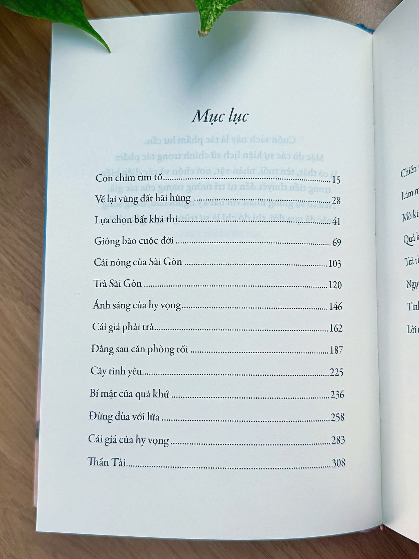 Đời gió bụi, Translation of Dust Child