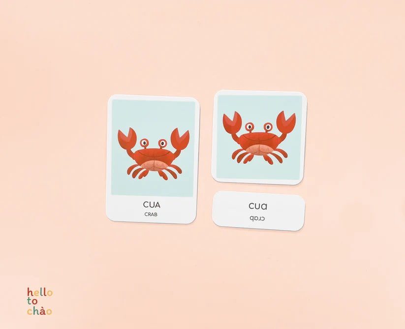 Bilingual Vietnamese Animal Flashcards | Thẻ flashcards song ngữ Anh Việt chủ đề động vật